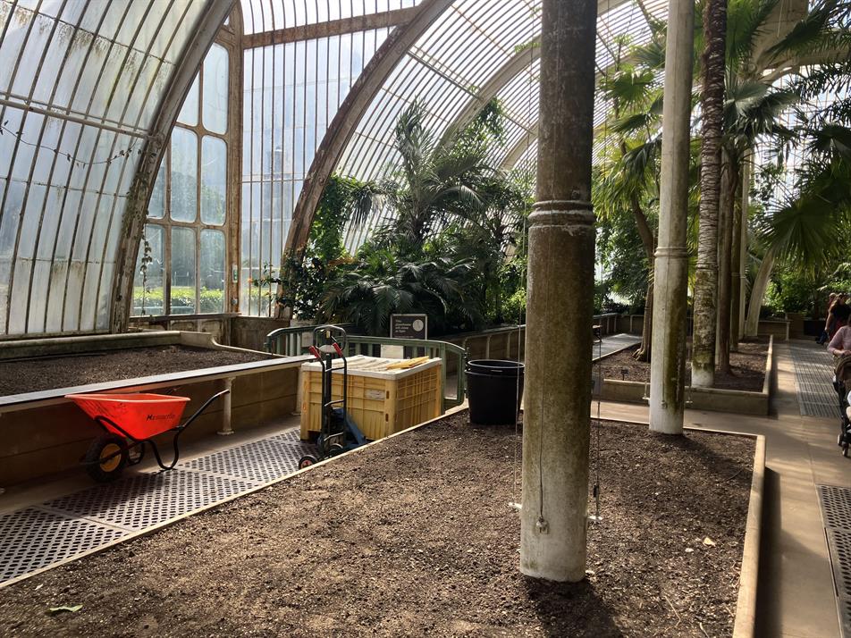 Palm House